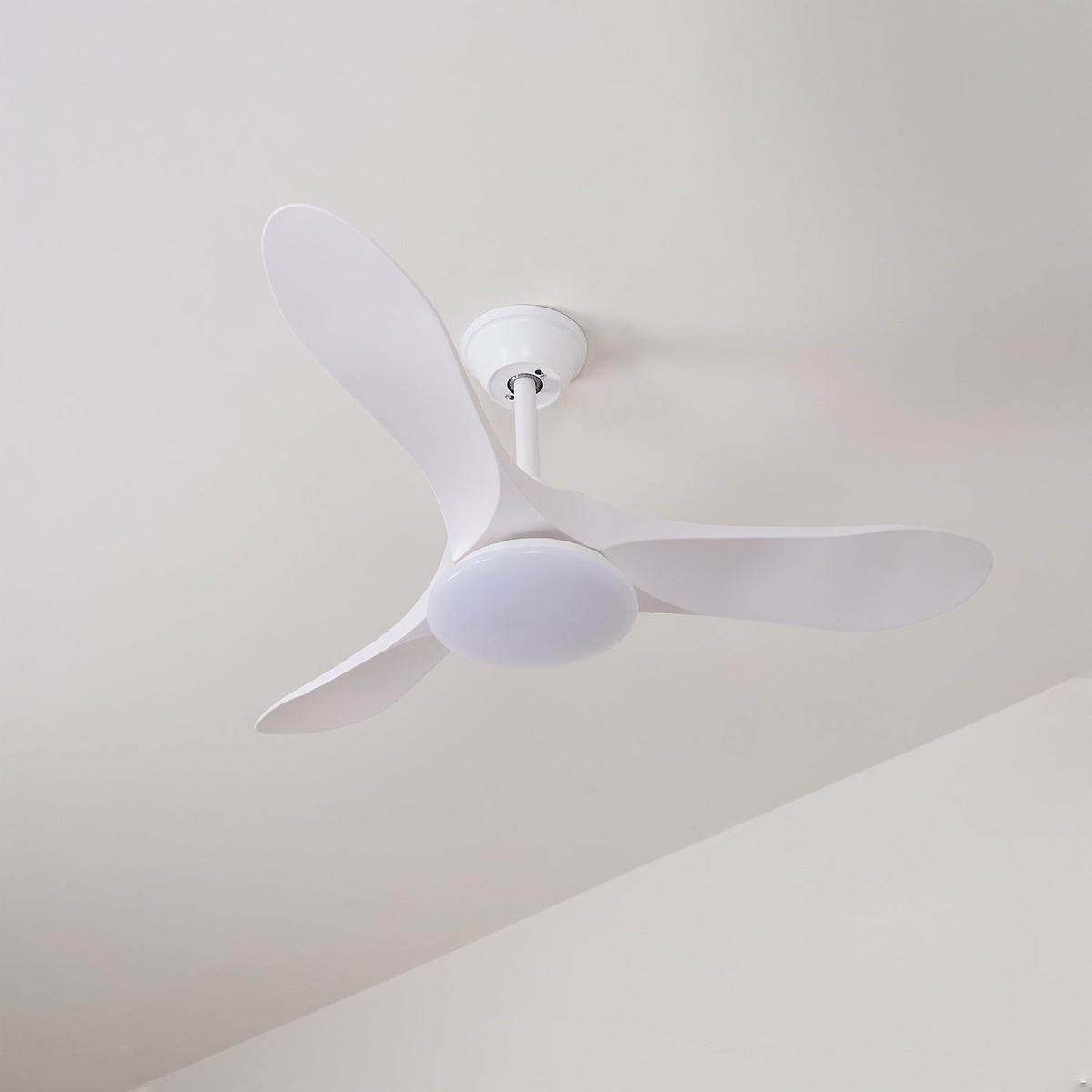 Orenlynko Ceiling Fan Light