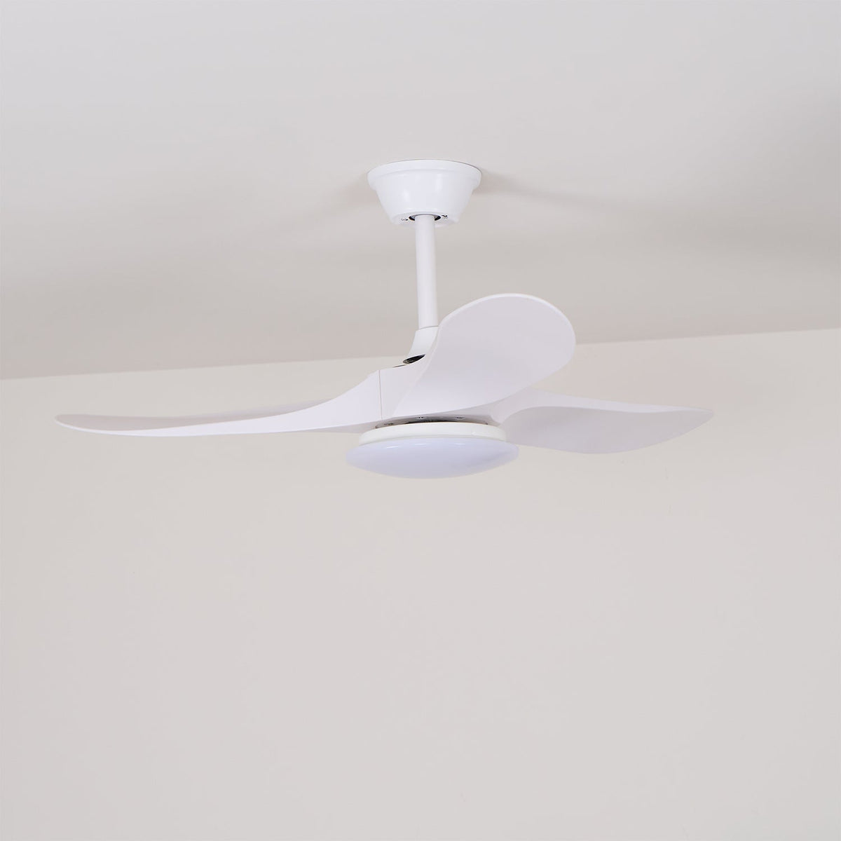 Orenlynko Ceiling Fan Light