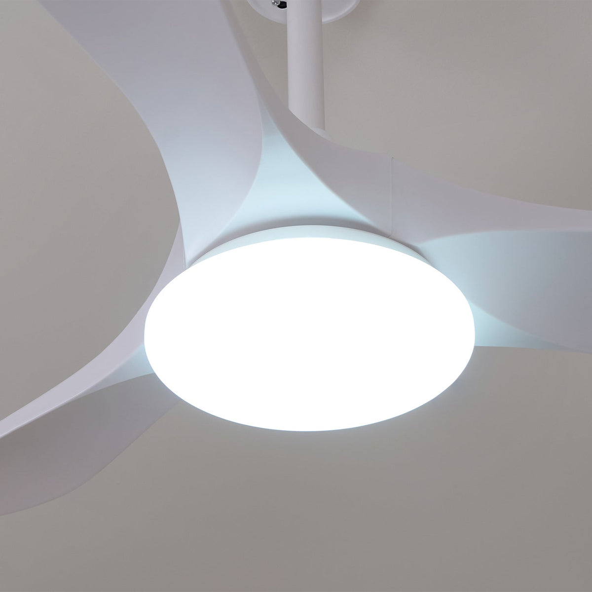 Orenlynko Ceiling Fan Light