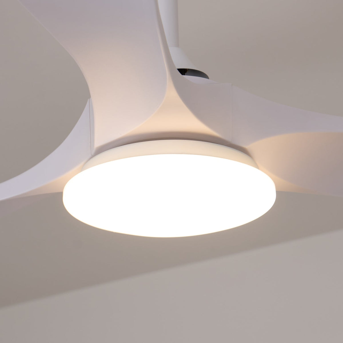 Orenlynko Ceiling Fan Light