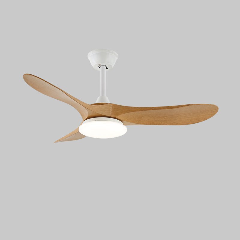 Orenlynko Ceiling Fan Light