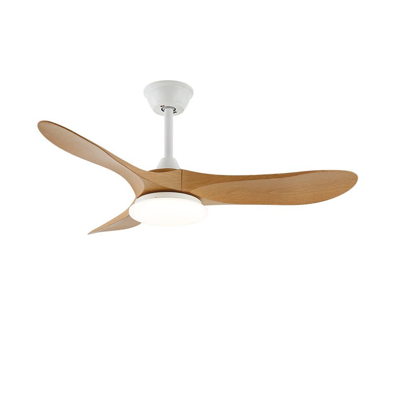 Orenlynko Ceiling Fan Light