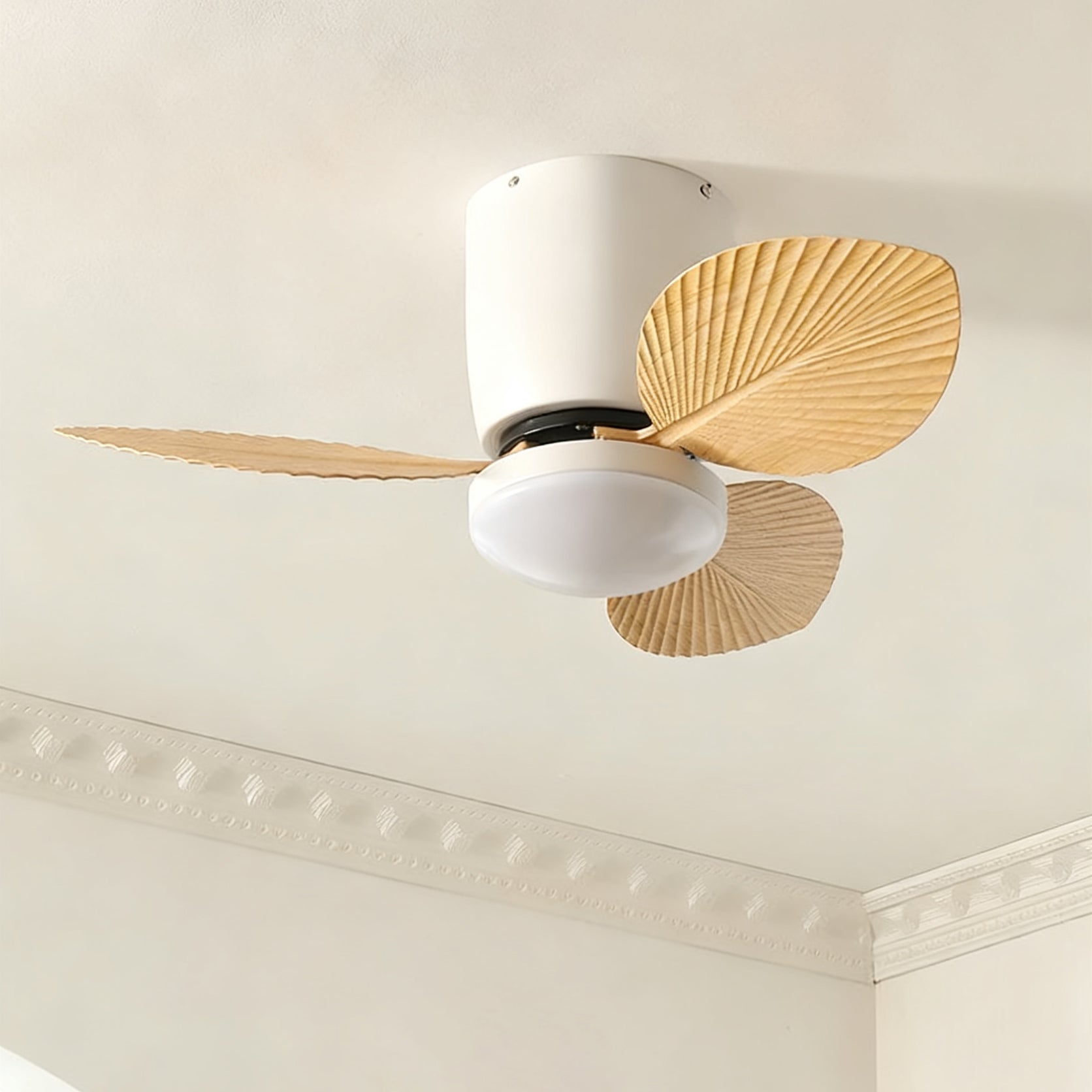 Viroas Ceiling Fan Light