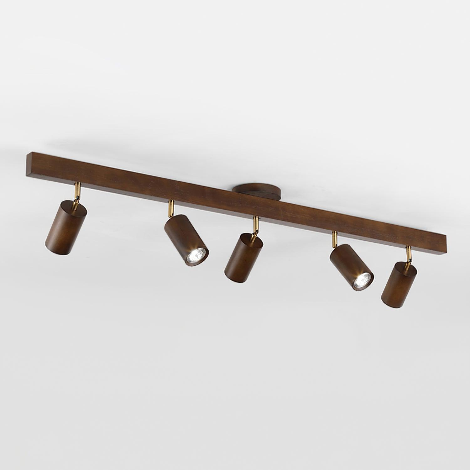 Lorim Track Ceiling Light