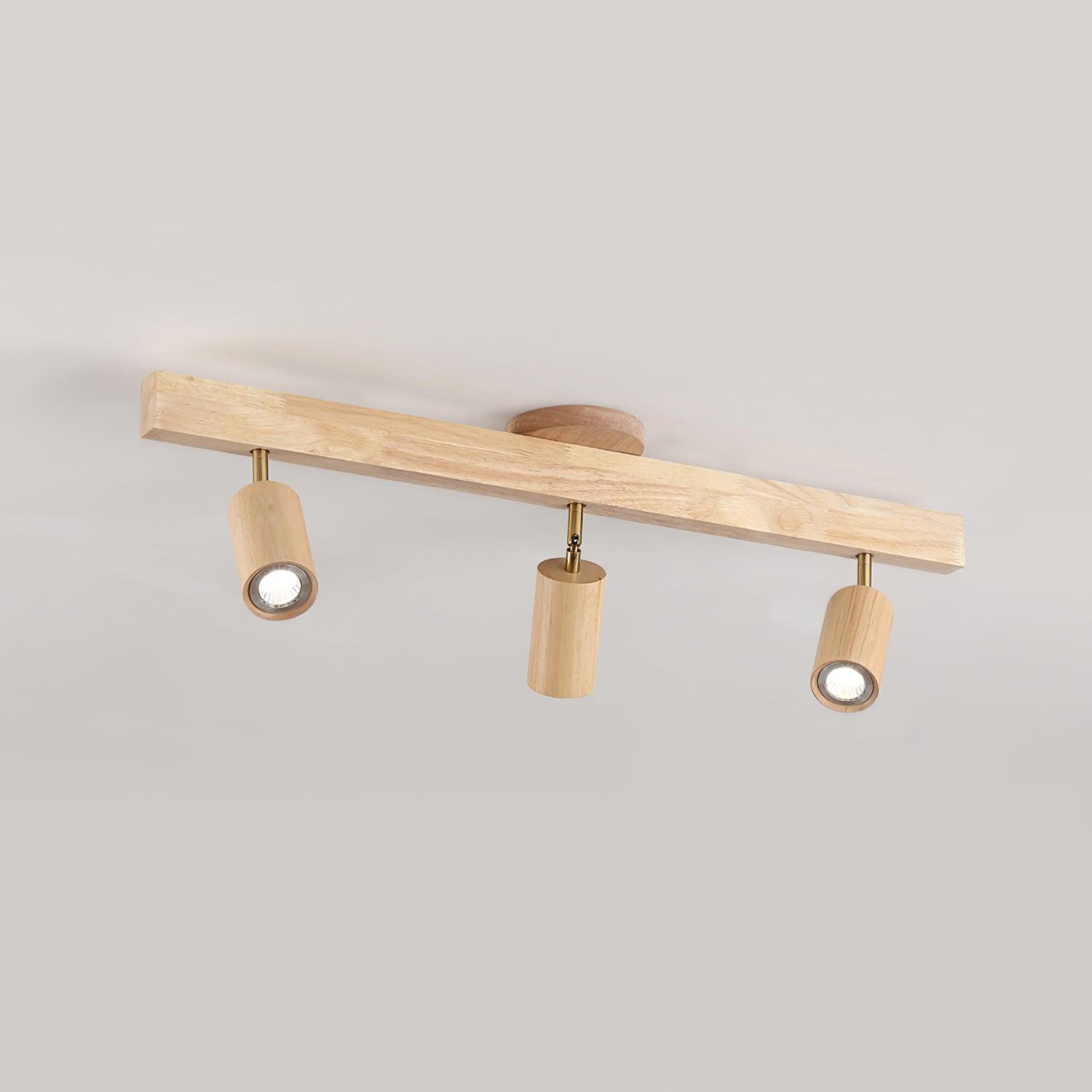 Lorim Track Ceiling Light
