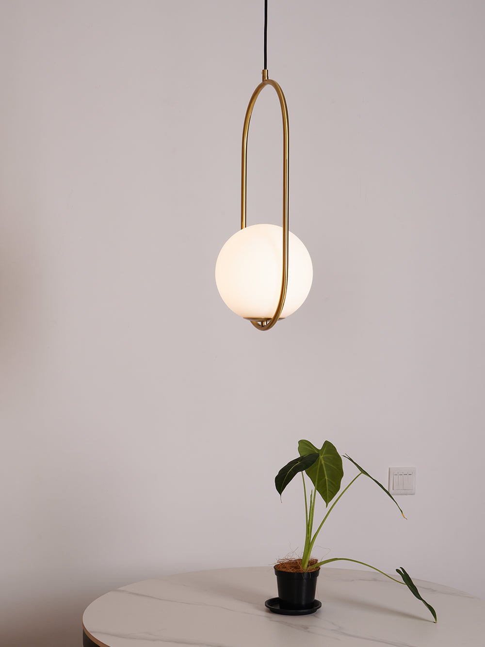 Zanarus Rings Pendant Light