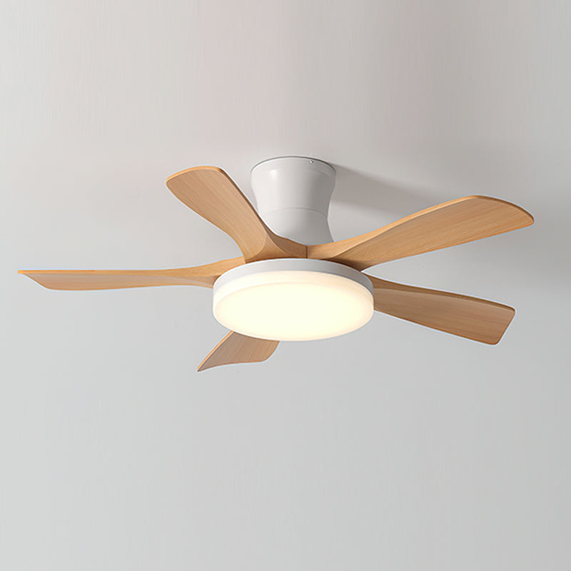Joreri Ceiling Fan Light