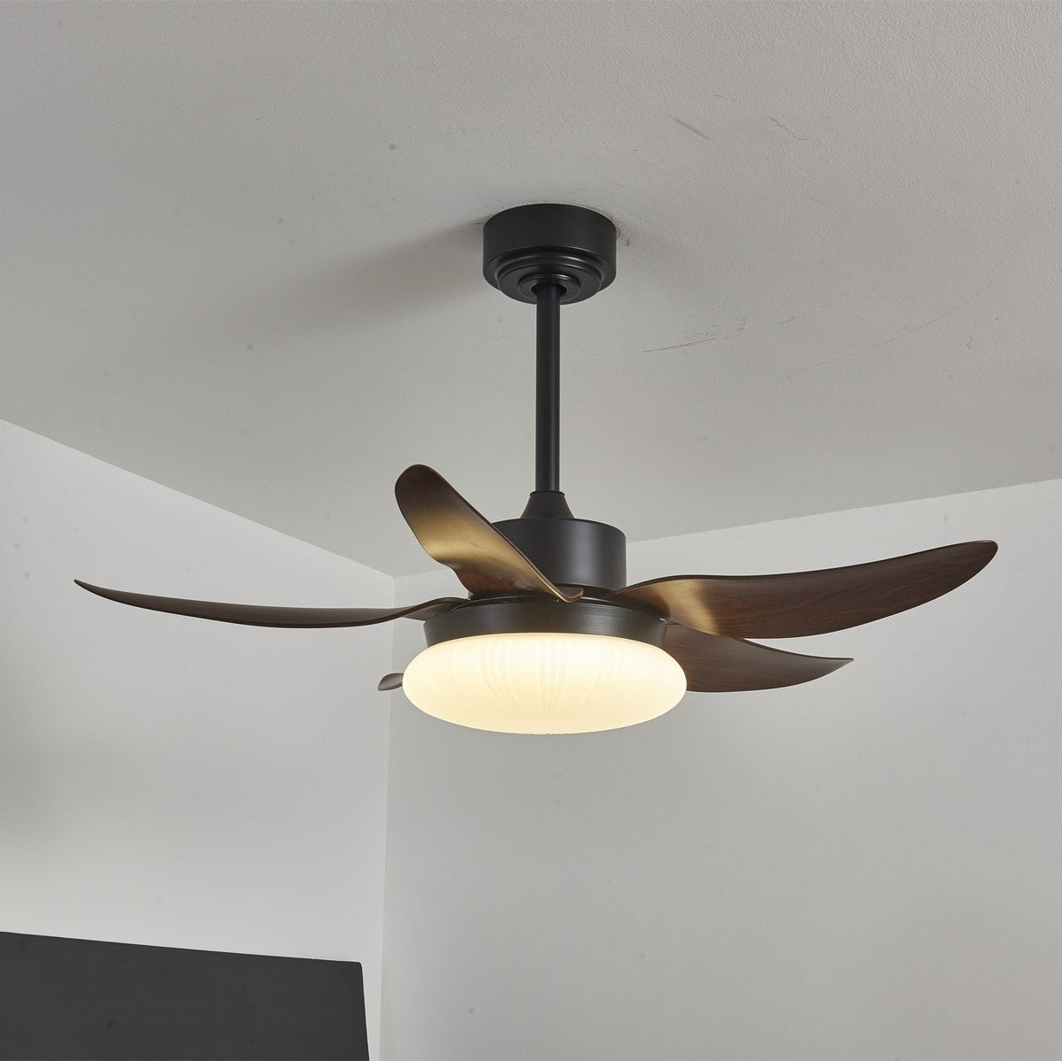 Moasis Ceiling Fan Light – detail 11