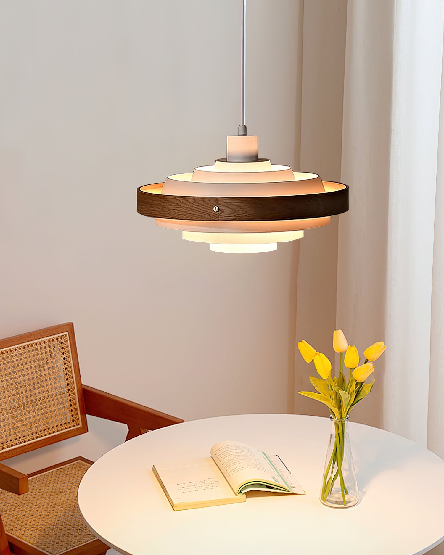 Reefiabay Drum Pendant Light
