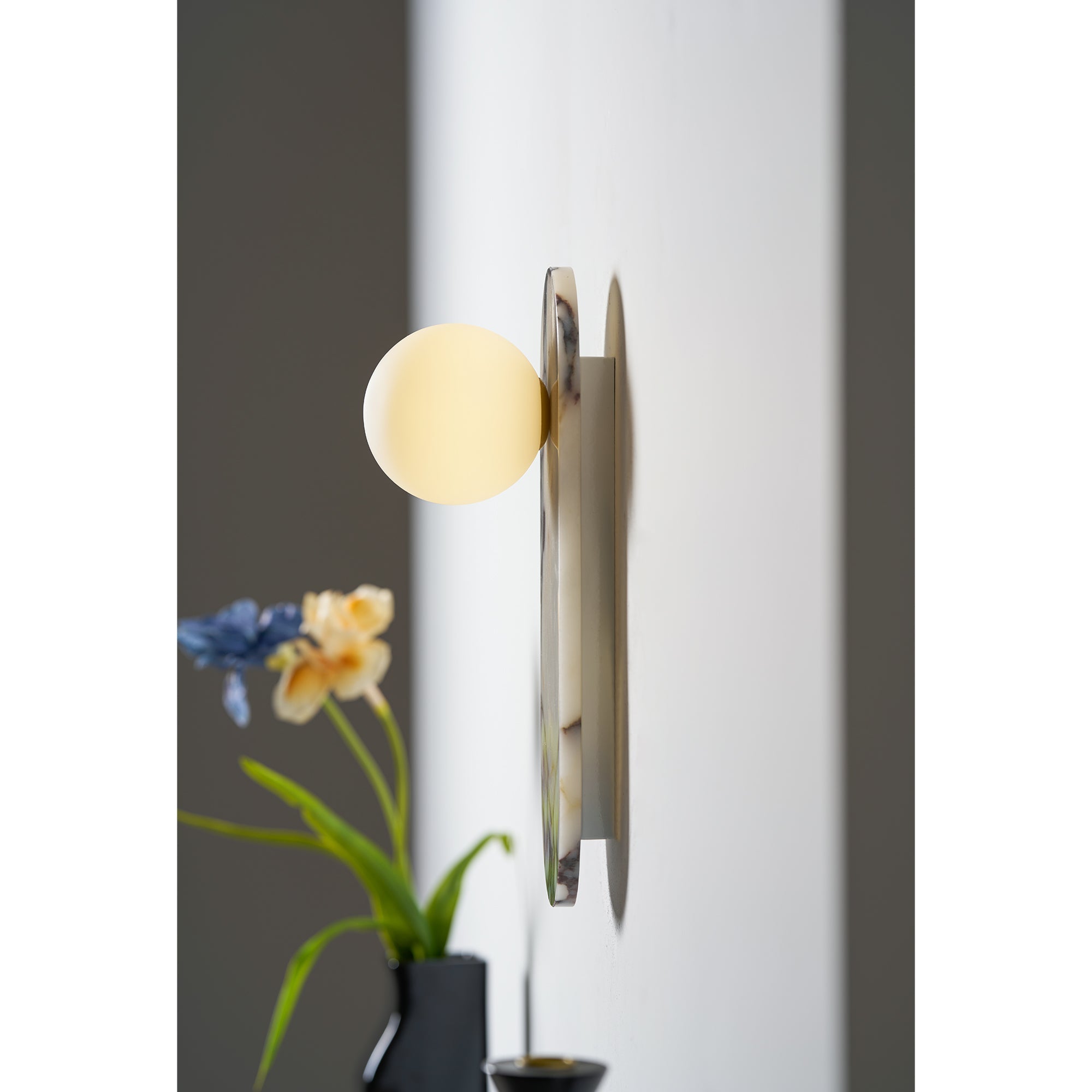 Lioalen Globe Wall Light