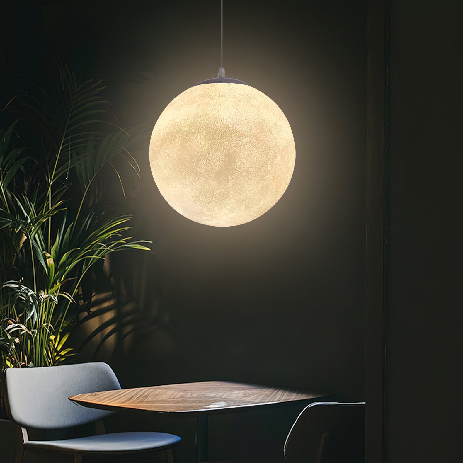 Camu Globe Pendant Light