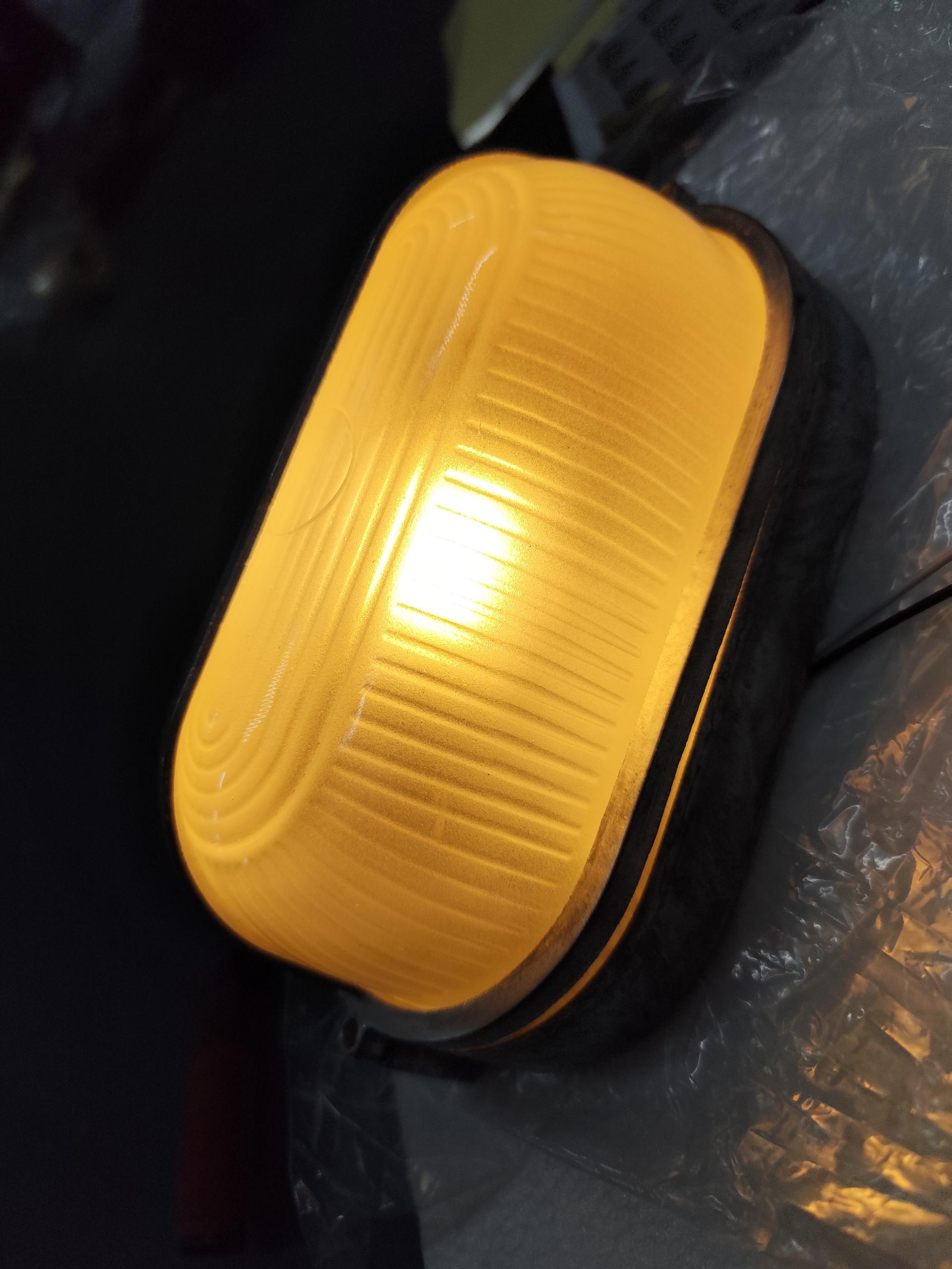 Belaner Outdoor Wall Light