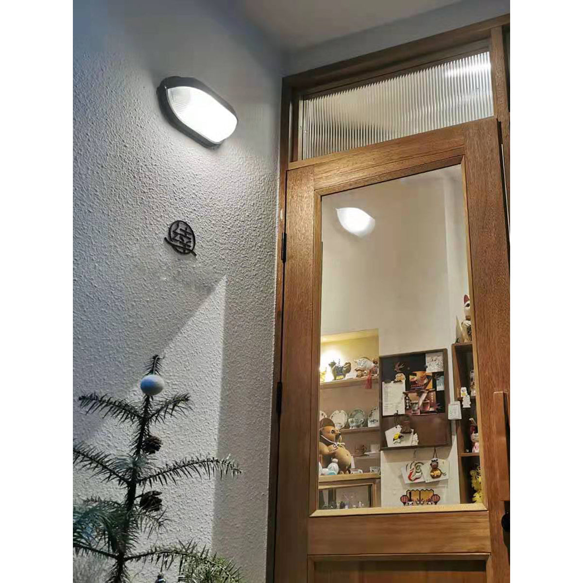 Belaner Outdoor Wall Light