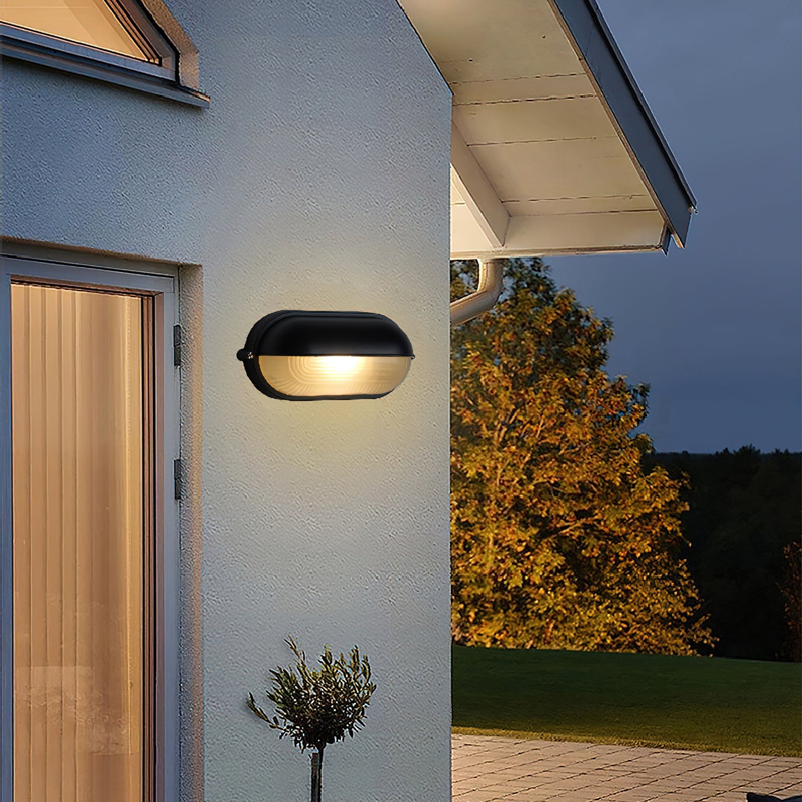 Belaner Outdoor Wall Light