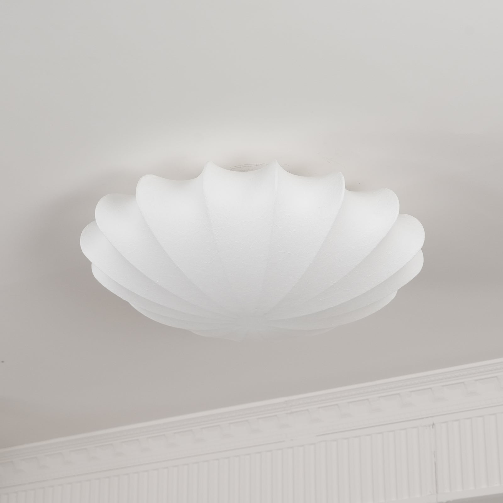 Riodenel Ceiling Light