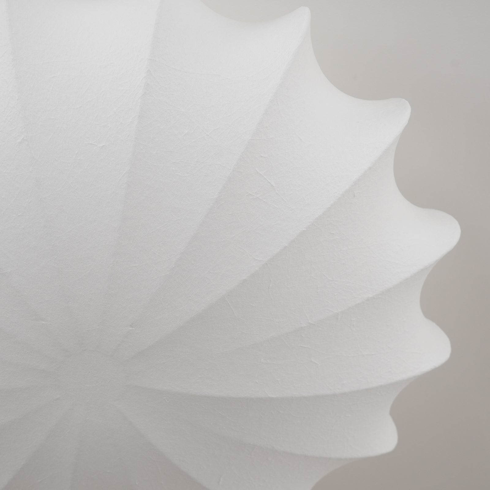 Riodenel Ceiling Light