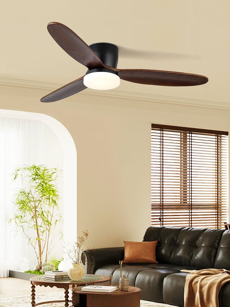 Evenlor Ceiling Fan Light