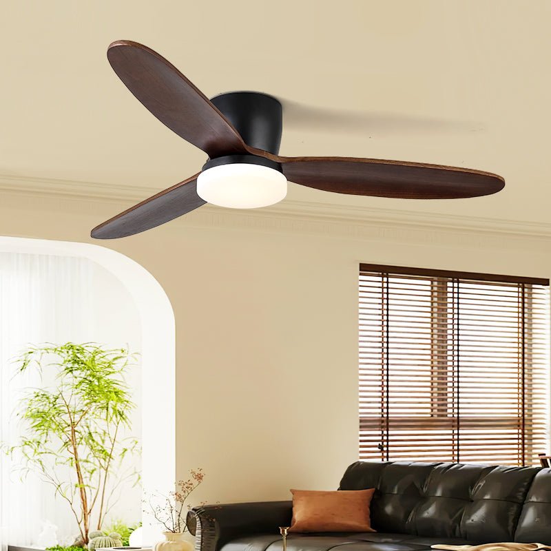 Evenlor Ceiling Fan Light