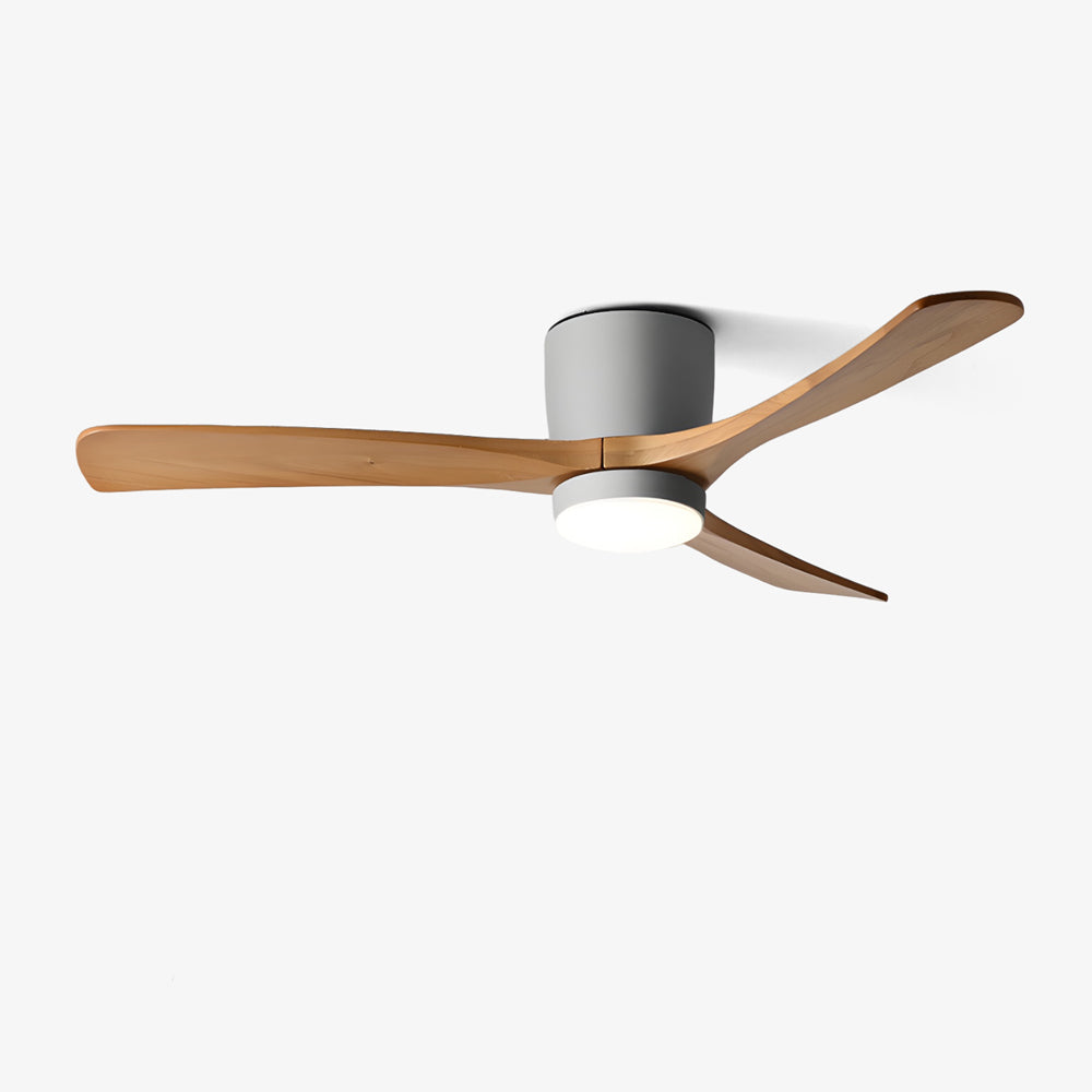Rivenro Ceiling Fan Light