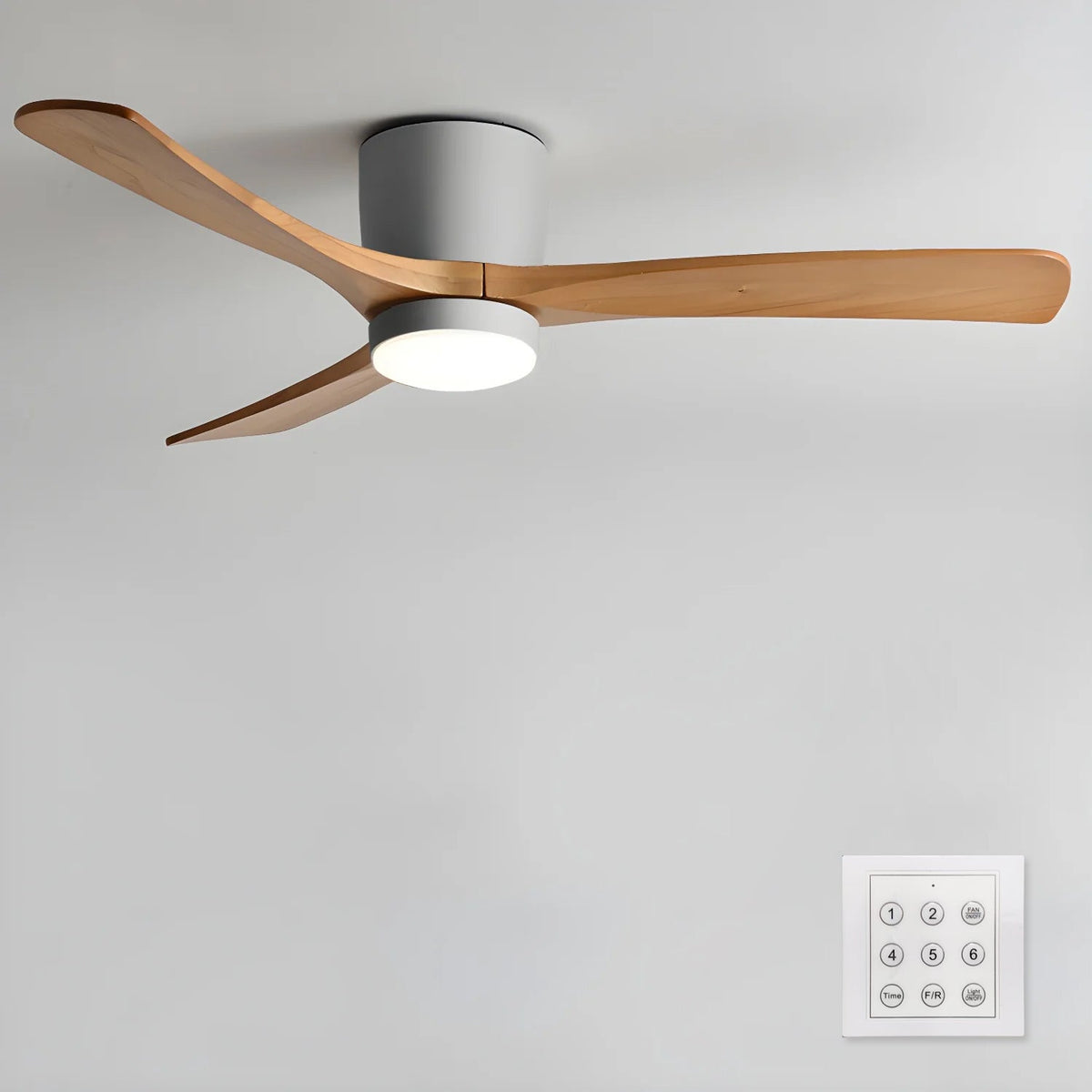 Rivenro Ceiling Fan Light