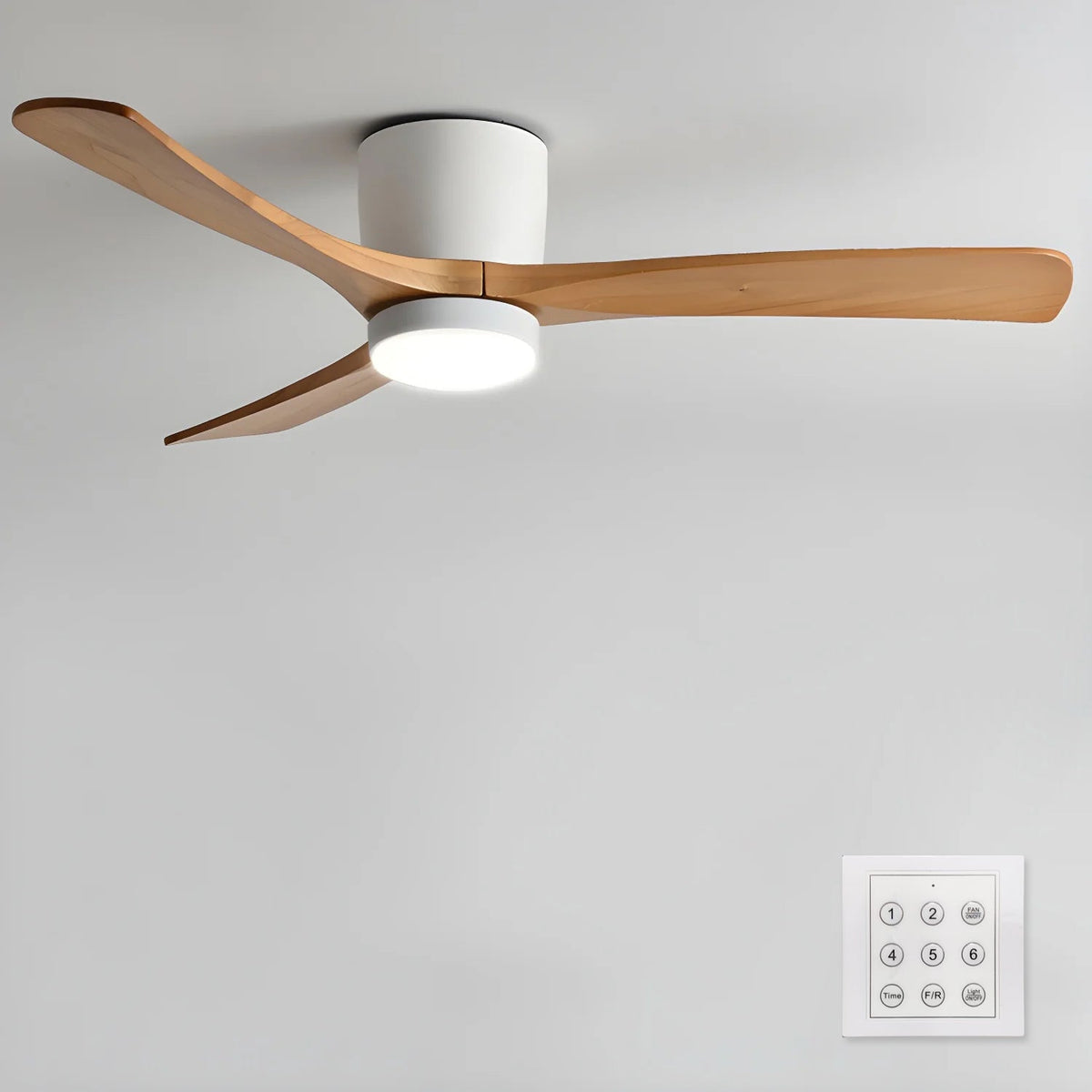 Rivenro Ceiling Fan Light