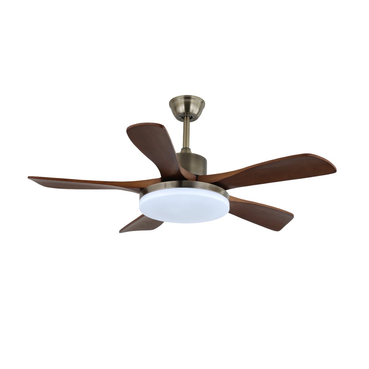 Haleley Ceiling Fan Light