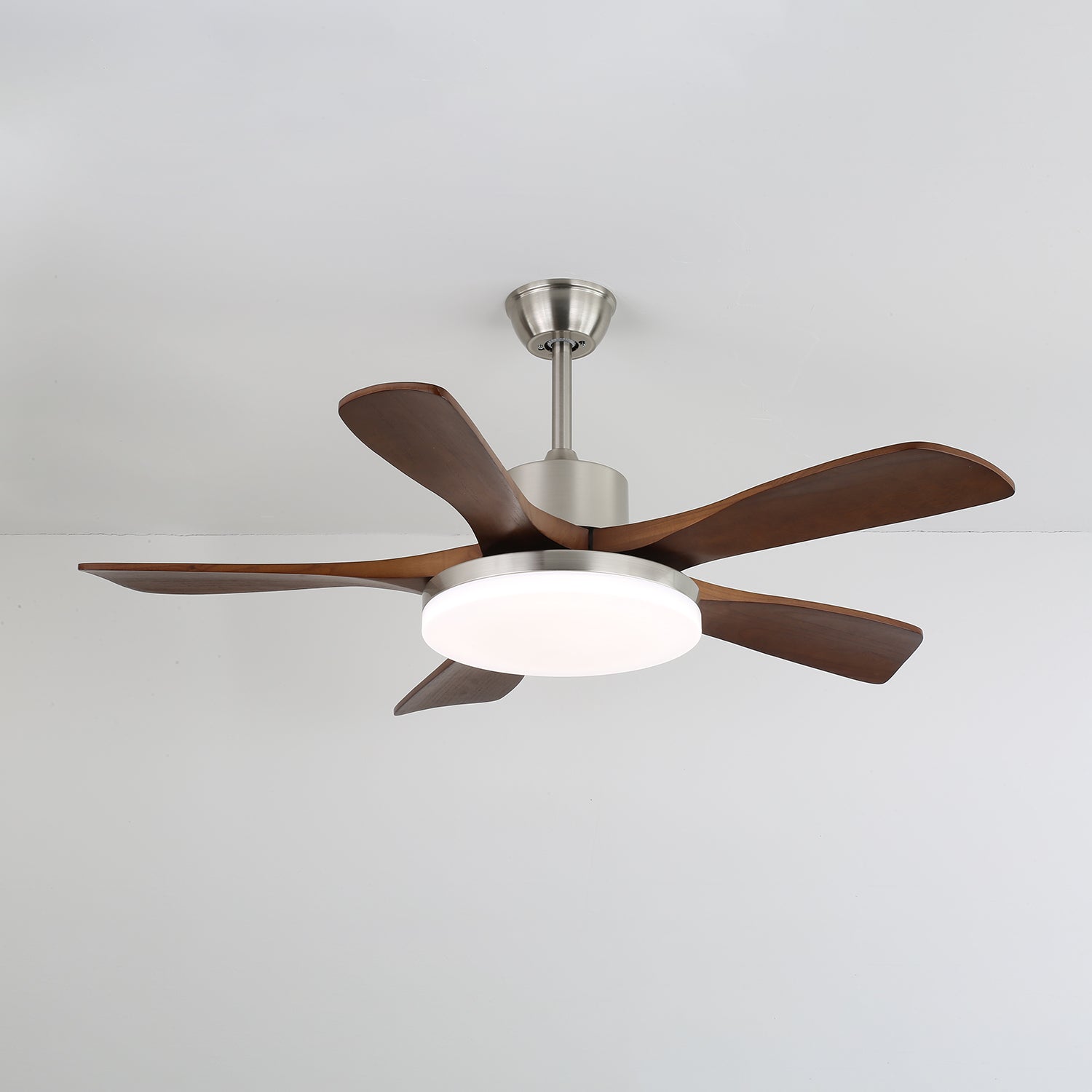 Haleley Ceiling Fan Light