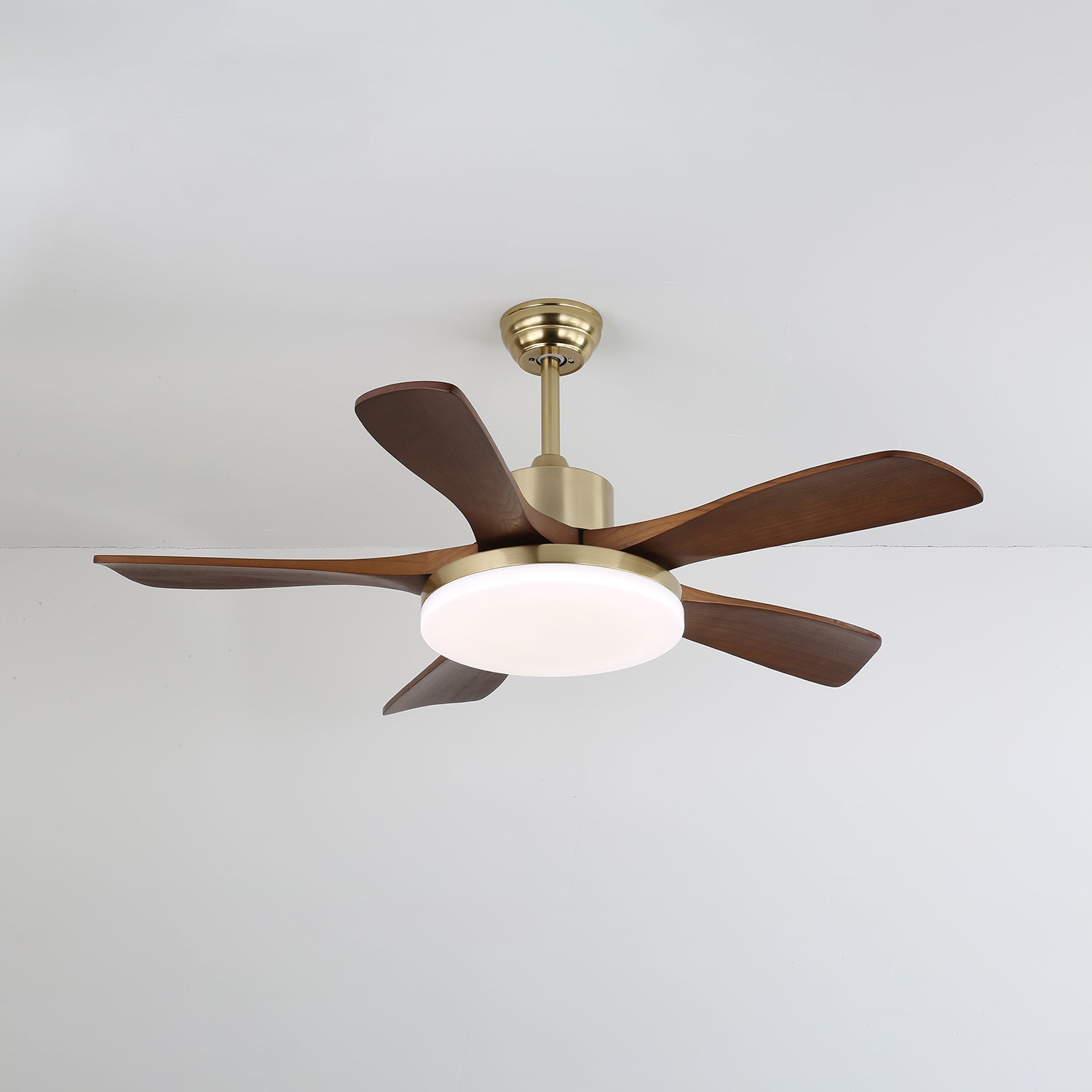 Haleley Ceiling Fan Light