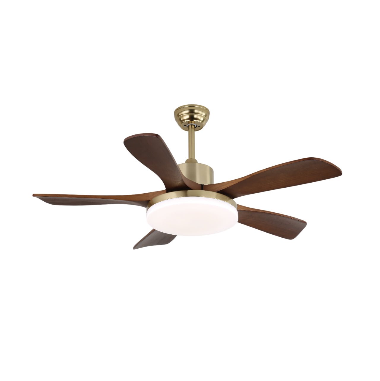 Haleley Ceiling Fan Light