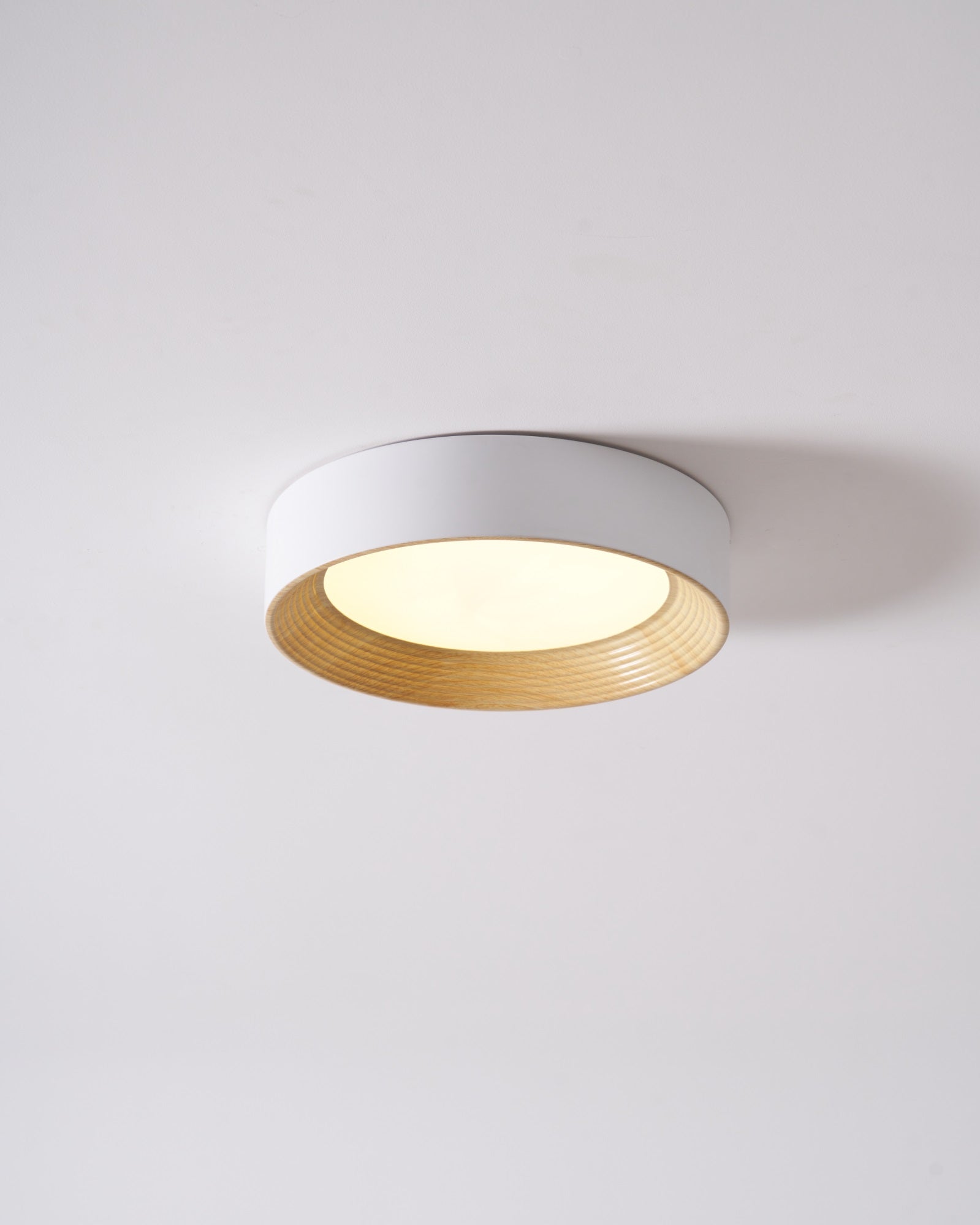 Lerexa Round Ceiling Light