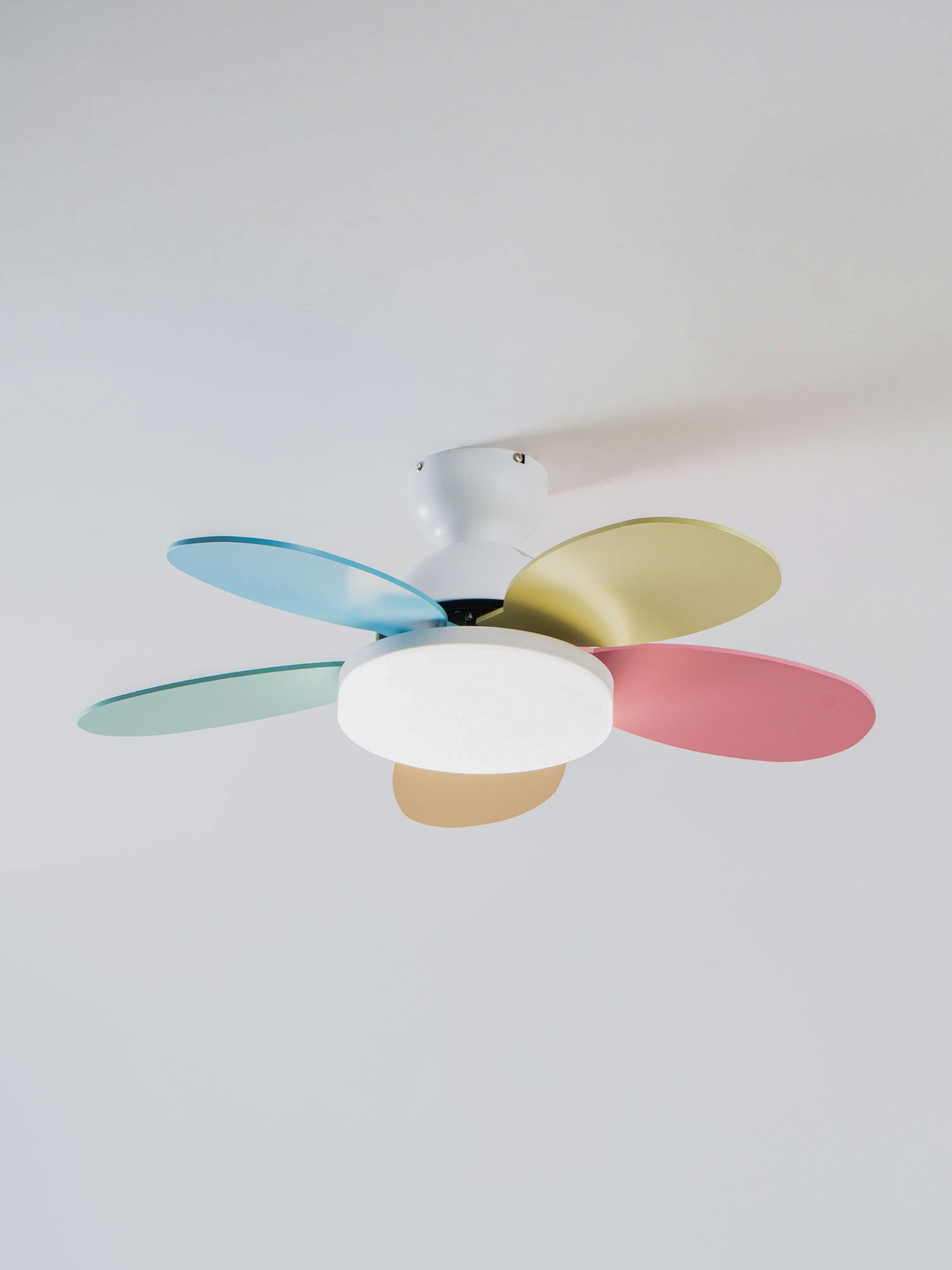 Taliro Ceiling Fan Light