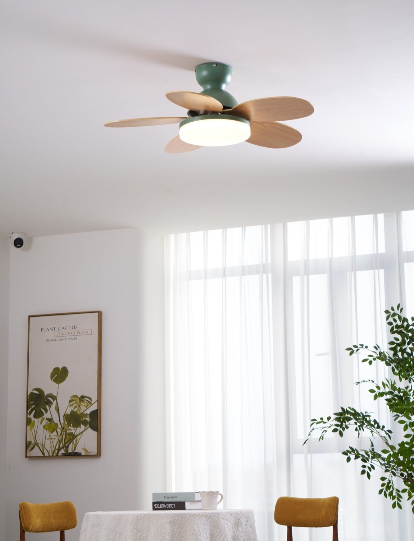Taliro Ceiling Fan Light