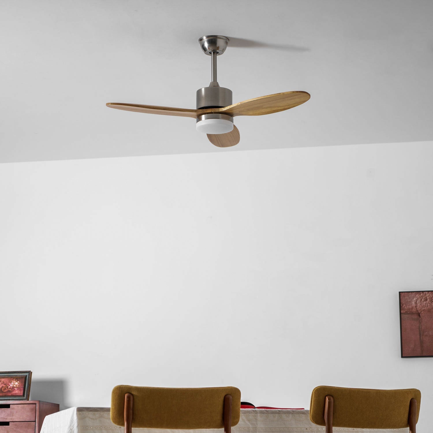 Foxrowell Ceiling Fan Light