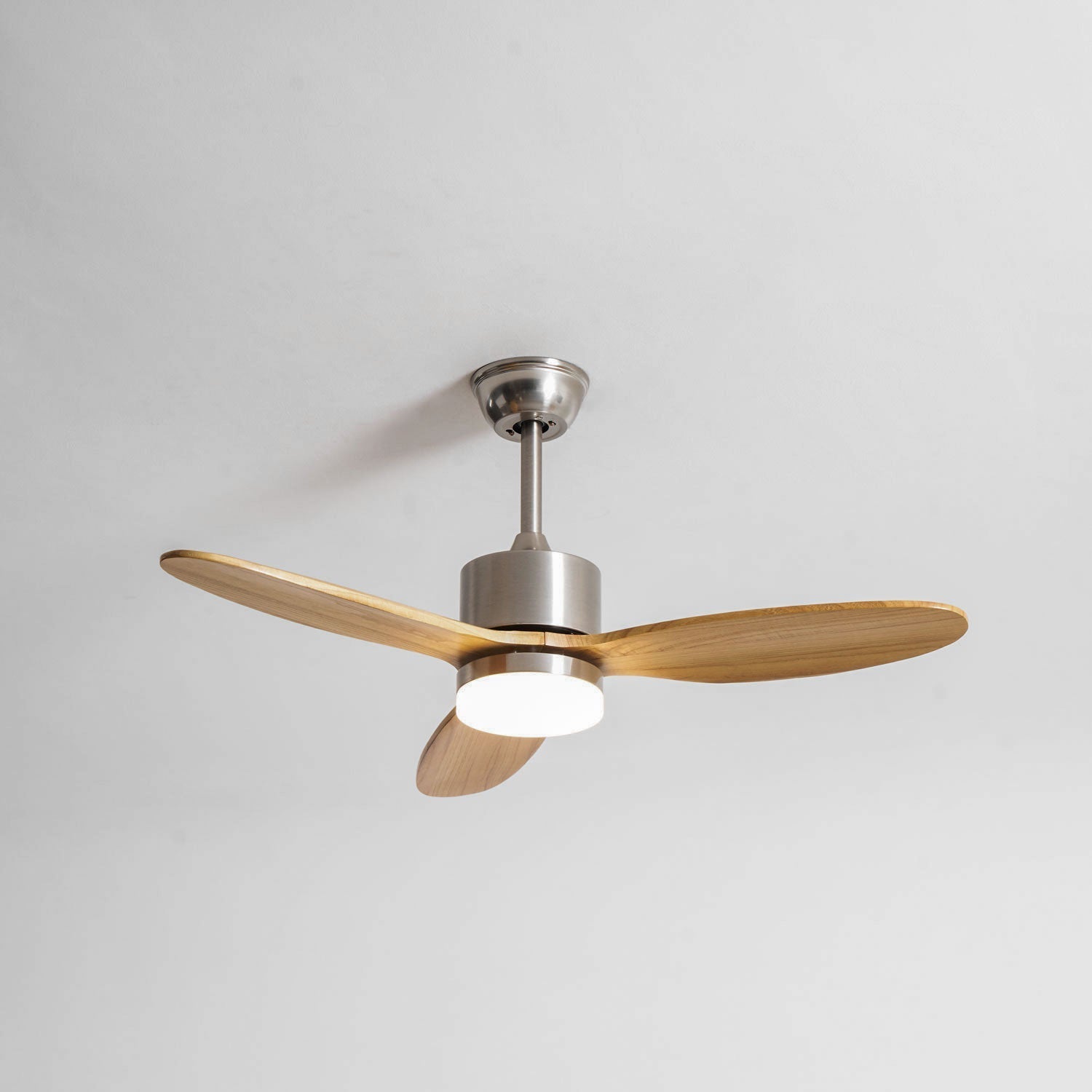 Foxrowell Ceiling Fan Light