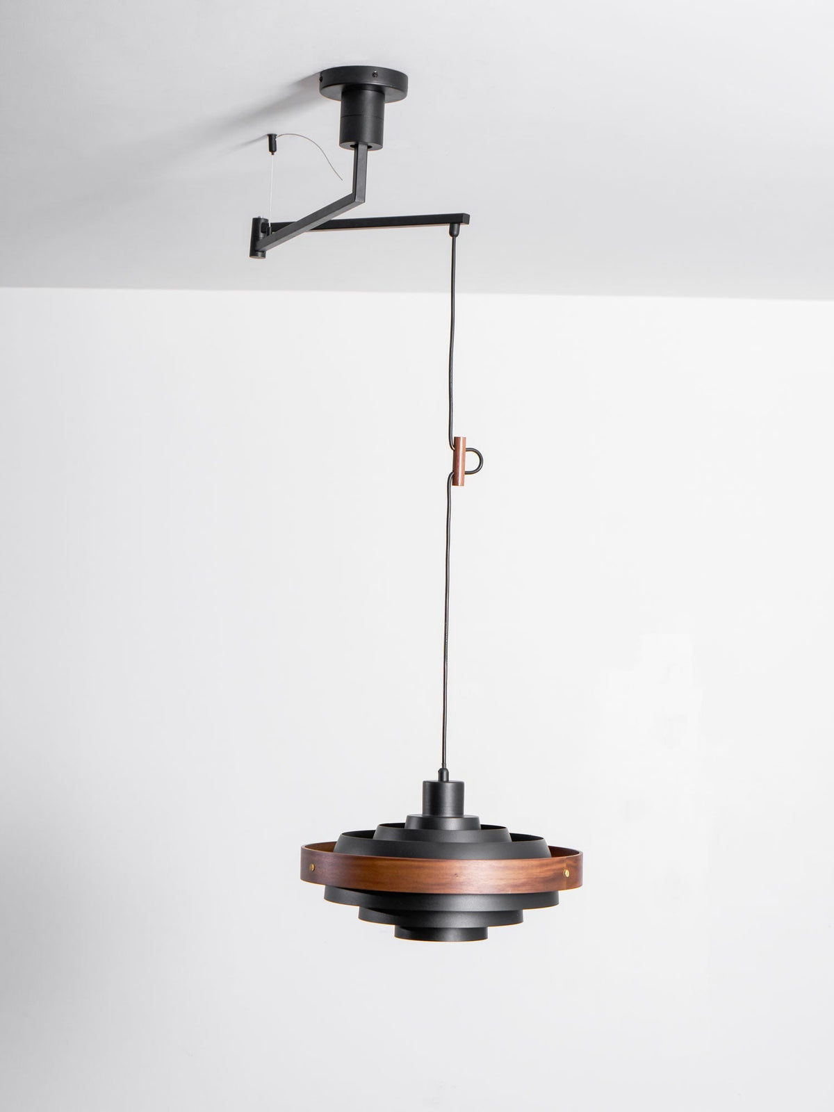 Orenal Articulated Pendant Light