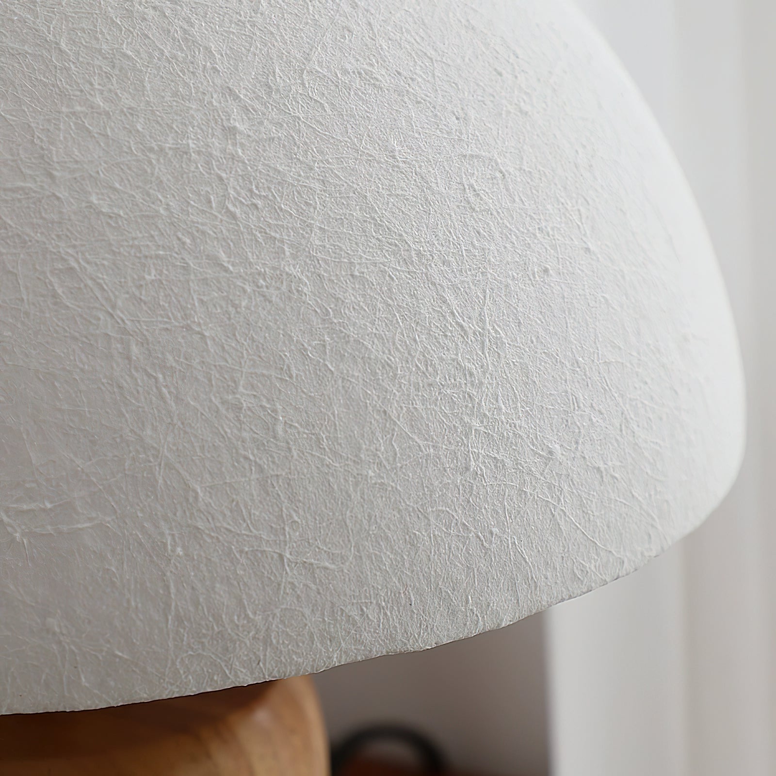 Zeltonon Modern Table Lamp