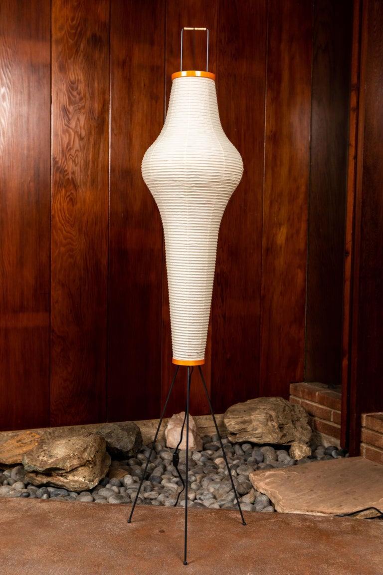 Finiford Floor Lamp