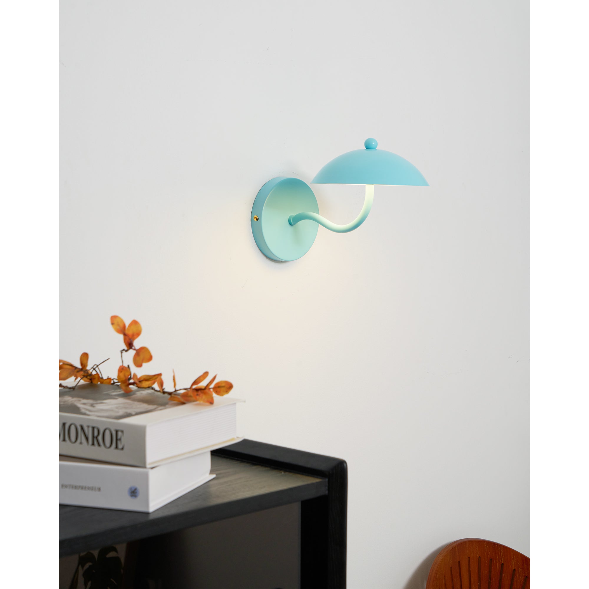 Lannovale Dome Wall Light
