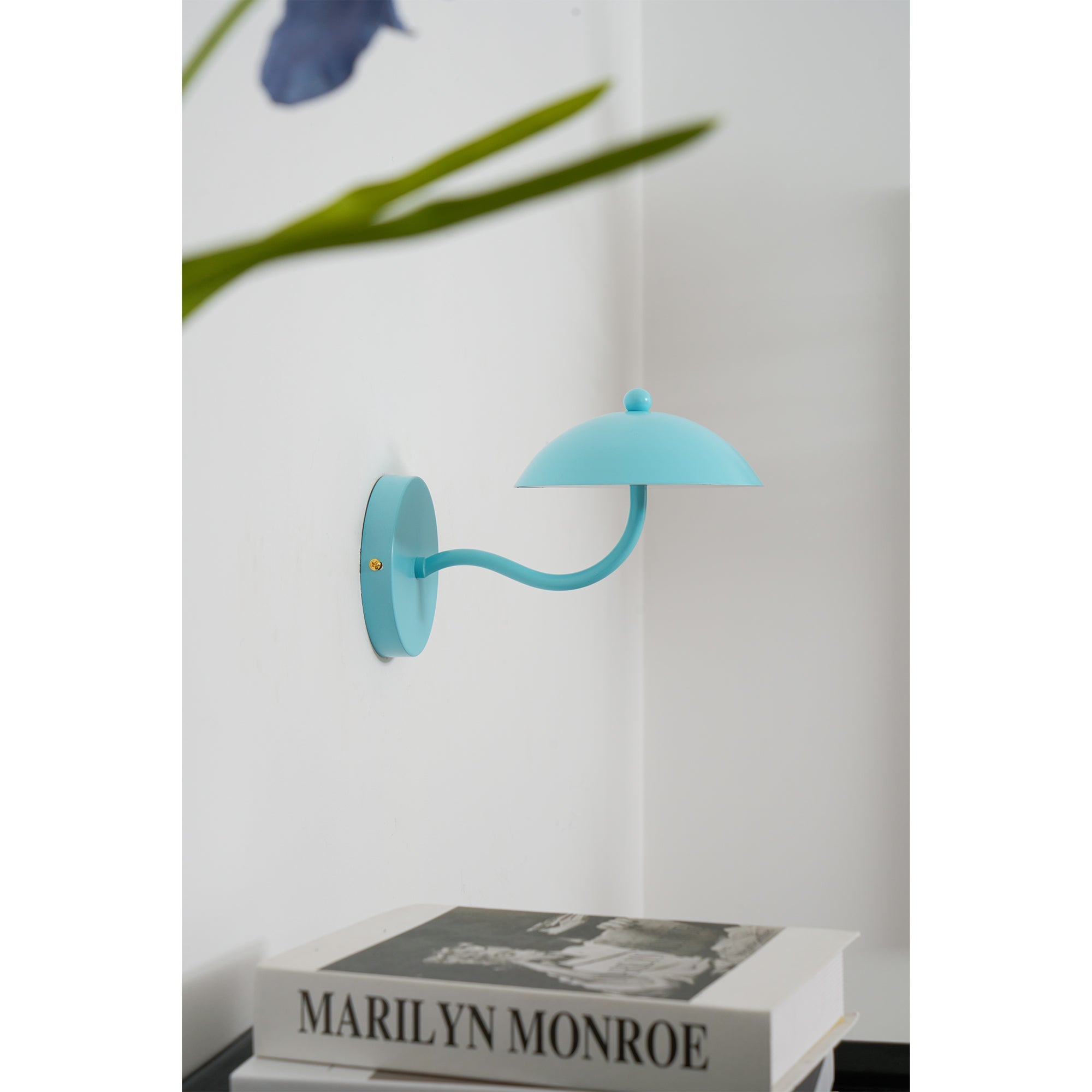 Lannovale Dome Wall Light