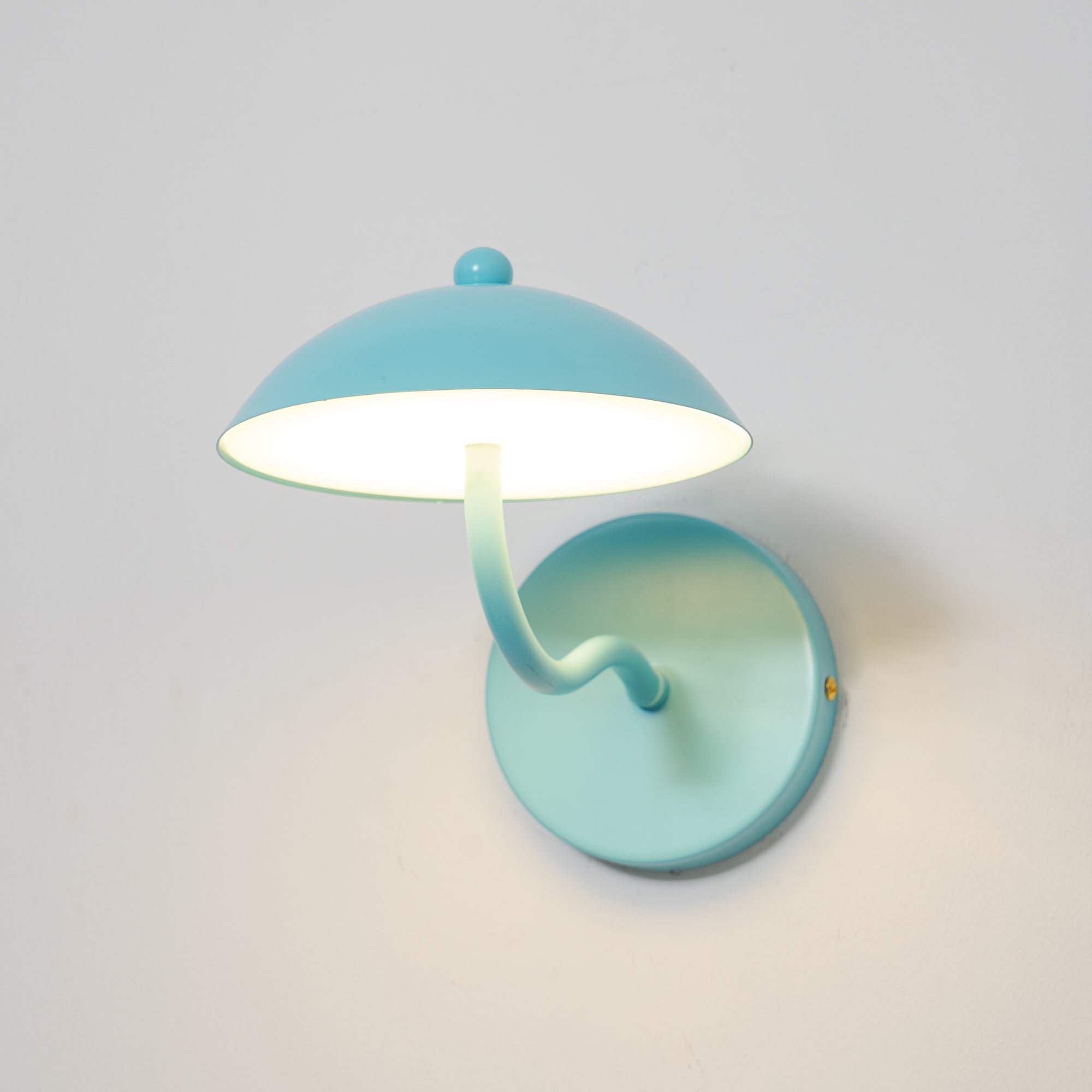 Casnoas Dome Wall Light
