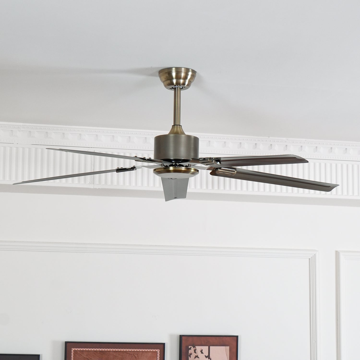 Casma Ceiling Fan