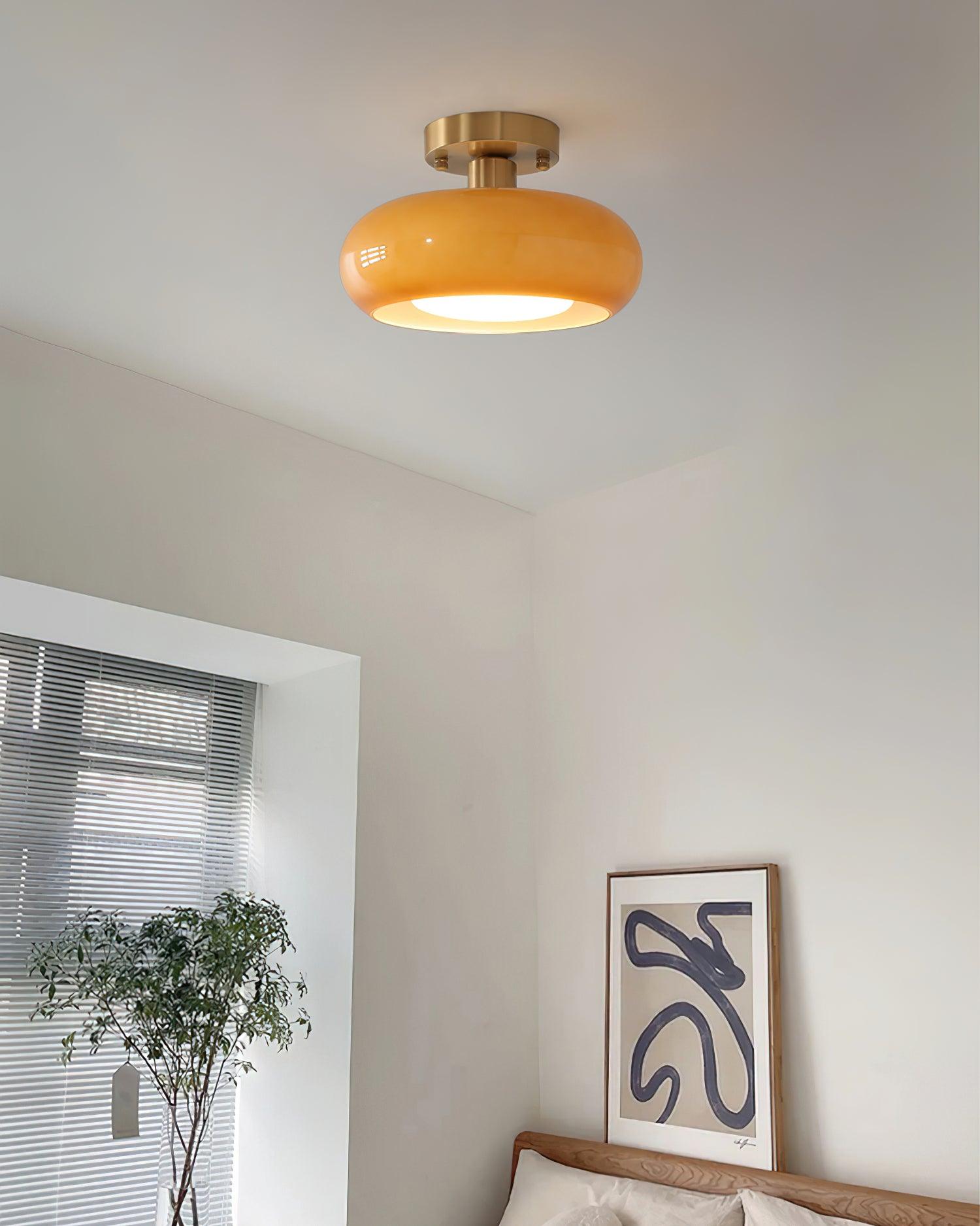 Rioibay Outdoor Ceiling Light