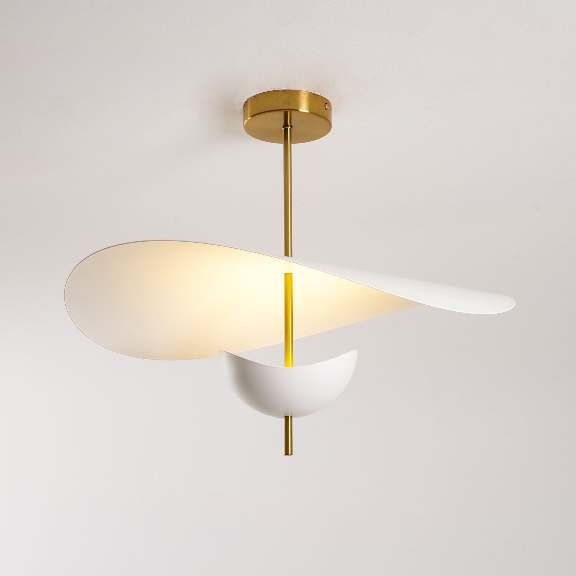 Glenii Sculptural Pendant Light