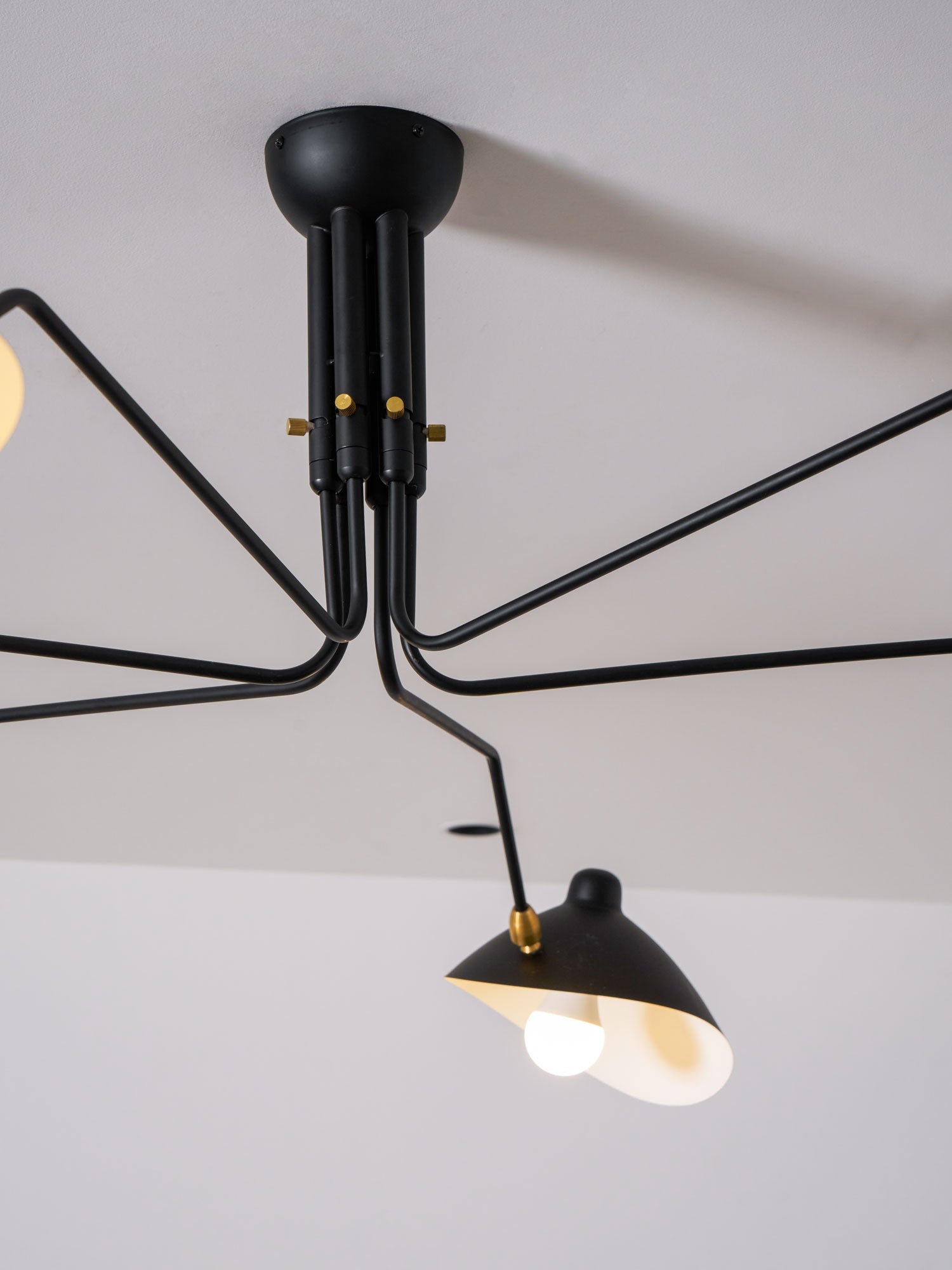 Casley Spider Ceiling Light