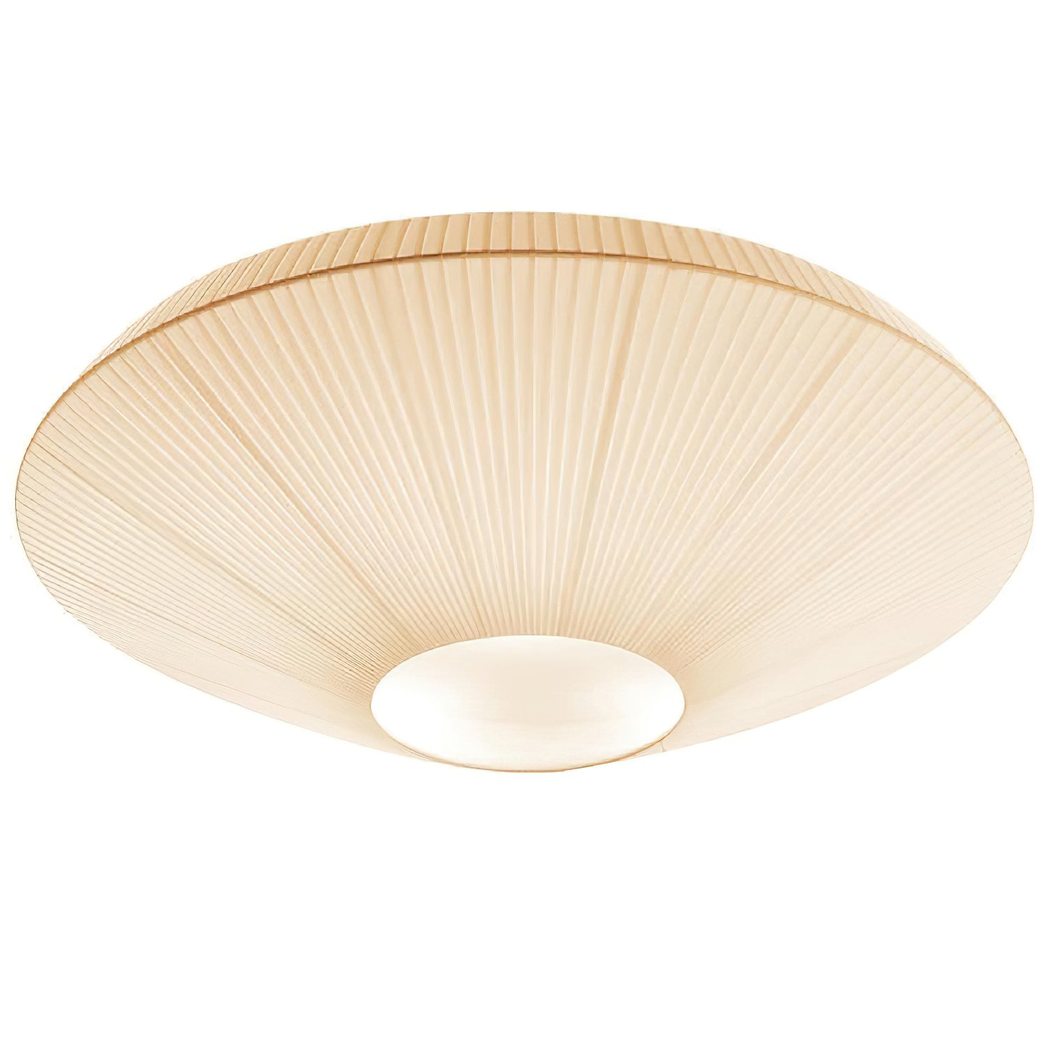 Alnoey Ceiling Light