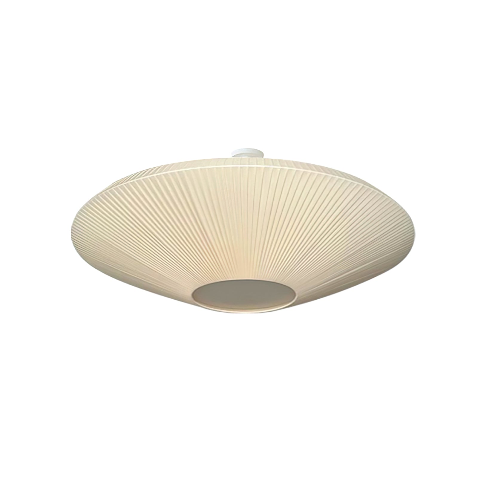 Alnoey Ceiling Light