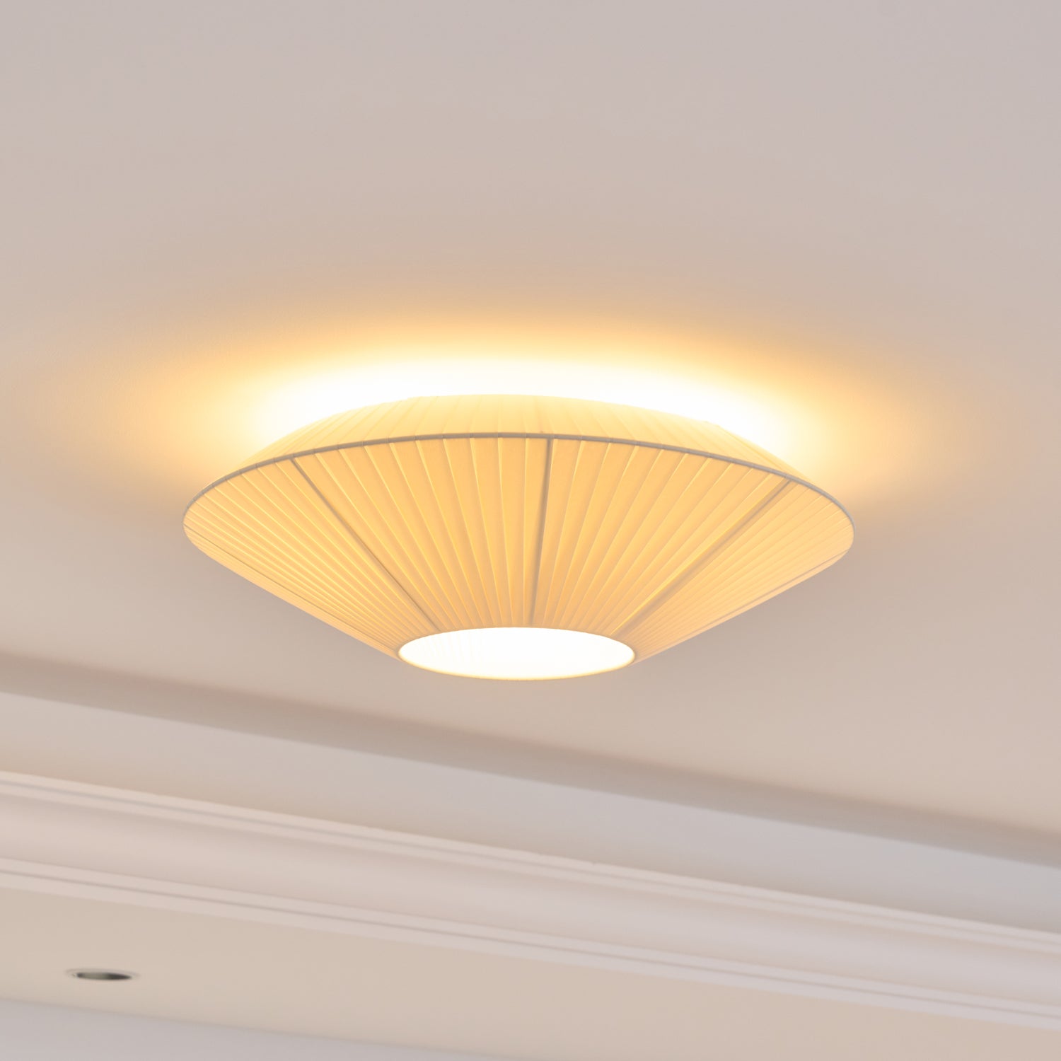 Alnoey Ceiling Light