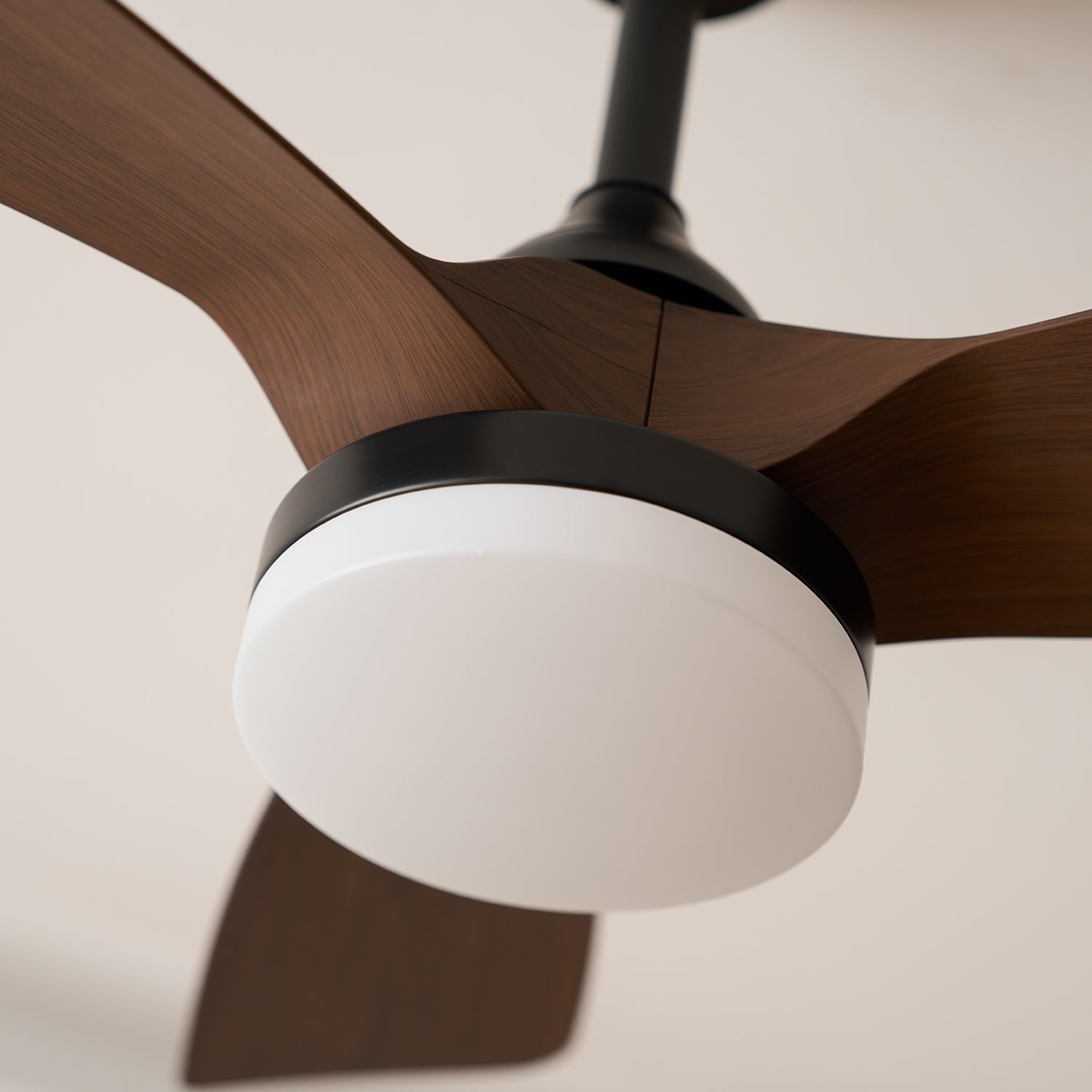 Alancove Ceiling Fan Light