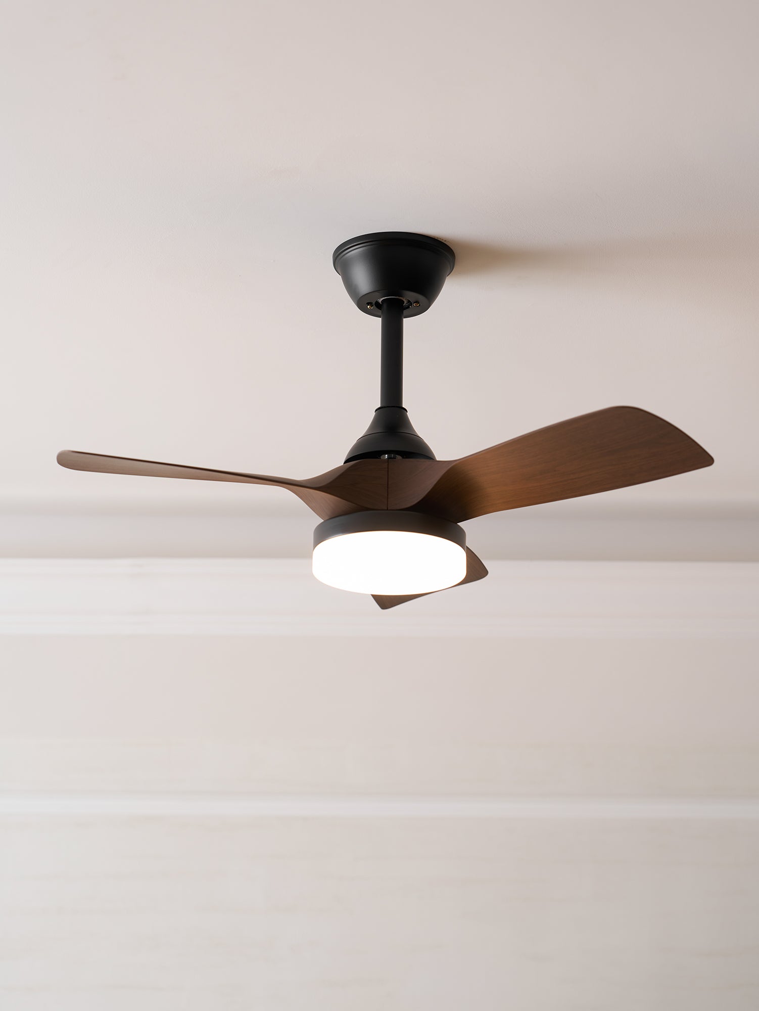 Alancove Ceiling Fan Light