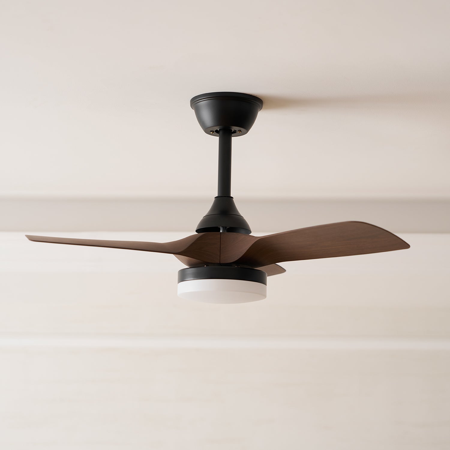 Alancove Ceiling Fan Light